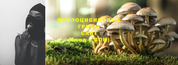 молекула духа Анжеро-Судженск