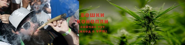 молекула духа Анжеро-Судженск