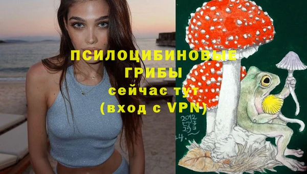 apvp Апатиты